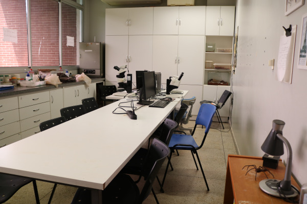 
Laborat&oacute;rio de Taxonomia, Ecologia e Intera&ccedil;&otilde;es de Aracn&iacute;deos
